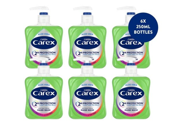 Carex 2 Hour Protection Antibacterial Aloe Vera Hand Wash, Added Natural Moisturisers, Gentle & Protects Hands, Bulk Buy, Pack of 6 x 250ml