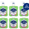 Carex 2 Hour Protection Antibacterial Aloe Vera Hand Wash, Added Natural Moisturisers, Gentle & Protects Hands, Bulk Buy, Pack of 6 x 250ml