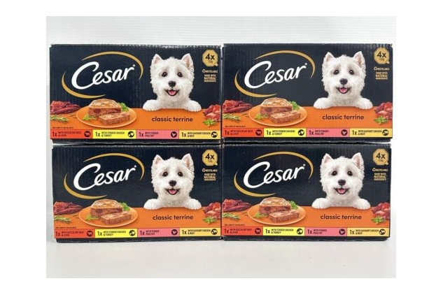 Cesar Classics Adult Wet Dog Food Trays Mixed Selection in Terrine 16 X 150g