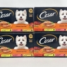 Cesar Classics Adult Wet Dog Food Trays Mixed Selection in Terrine 16 X 150g