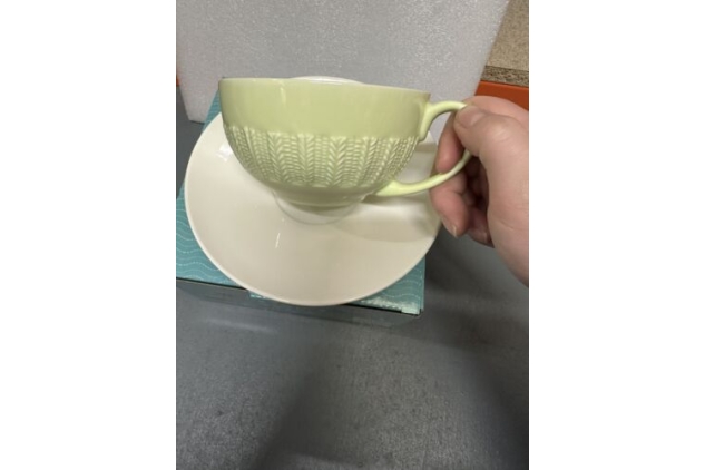 Fine Bone China Cup And Saucer Set Light Green Colour New