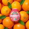 Robinsons Immunity Benefit Drops Orange & Guava, with vitamin B6 and Zinc - 66ml