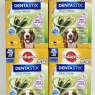 Pedigree Dentastix Fresh Daily Dental Chews Medium Dog 112 Sticks M | Best Before Date 20/10/24