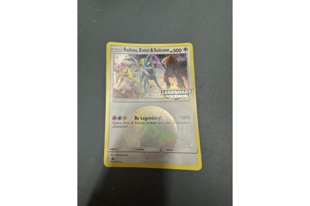 JUMBO/OVERSIZE Raikou, Entei & Suicune Legendary Pokemon Promo  Pokemon