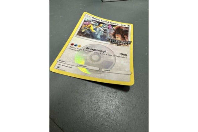 JUMBO/OVERSIZE Raikou, Entei & Suicune Legendary Pokemon Promo  Pokemon