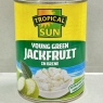 Tropical Sun Young Green Jackfruit In Brine 560g