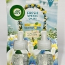 Air Wick Plug in Diffuser Twin Refill, Fresh Spring Oasis, Pack 2 x 19ml, Long Lasting Fragrance, Lasts up to 200 days, Plug in Air freshener