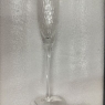 Anthropologie Champange Flute Etched Glass Design