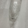 Anthropologie Champange Flute Etched Glass Design