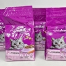 Whiskas Salmon Adult 1+ Dry Cat Food | Pack Of 4 X 1.9kg Bags