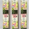 OPSO Amazonian Rainforest Orchid Natural Reed Diffuser 6 X 50ML