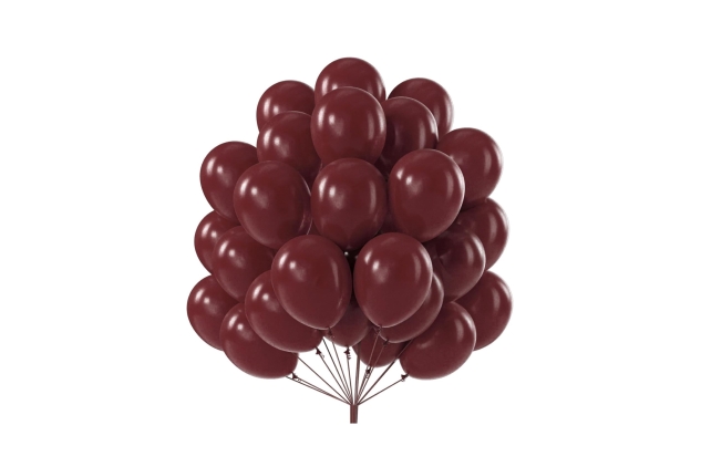 PartyWoo Burgundy Balloons, 50 pcs 12 Inch Wine Red Balloons, Maroon Balloons for Balloon Garland or Balloon Arch