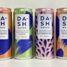 DASH Water Mixed Pack (16x330ml) – Sparkling Spring Water Drink | Infused with Wonky Fruit – Raspberry, Lime, Grapefruit & Peach