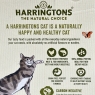 Harringtons Mixed in Jelly Wet Adult Cat Food Multipack 12 x 85g