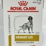 Royal Canin Canine Urinary S/O Moderate Calorie 12 X 100g Wet Dog Food Pouches