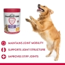 Harringtons Advanced Science Senior Dog Hip & Joint Care Supplements – Tablets Designed for Older Dogs with Stiff Joints, 300 Count | Best Before Date 30/04/2024