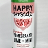 Happy Inside Gut Health Drink, Prebiotic, Natural Ingredients, No Fizz, Vegan, No Added Sugar, High Fibre, Immunity, Pomegranate, Lime & Mint, 250 ml (Pack Of 12)