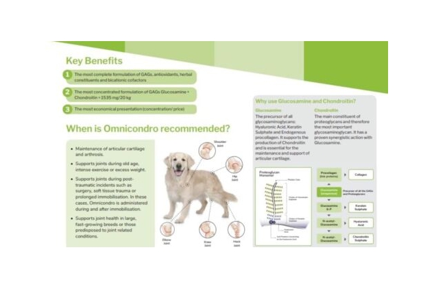 Omnicondro 20 | Complete Nutritional Joint Supplement Support For Dogs 60 Tablet