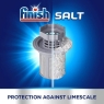 Finish 1kg Dishwasher Salt for Dishwashers and Water Softeners