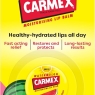 CARMEX Watermelon SPF15 Lip Balm Pot (7.5g) Soothes, Relieves & Moisturises Lips