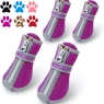 Dog Shoes for Small Dogs, Puppy Dog Boots & Paw Protector for Winter Snow Day, Summer Hot Pavement, Waterproof in Rain Weather, Ourdoor Hiking, Indoor Hardfloors with Anti Slip Sole Purple Size 2