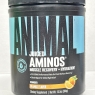 Animal Juiced Aminos - 6g BCAA/EAA Matrix plus 4g Amino Acid Blend for Recovery and Improved Performance - Orange - 30 Servings